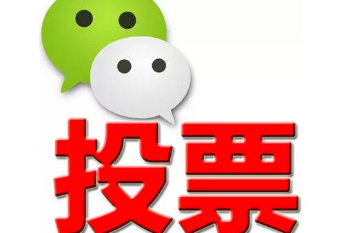 张家口市微信投票功能开发 上传图片投票